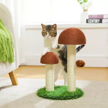 Mushroom Cat Scratching Post
