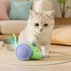 Interactive Electric Mouse